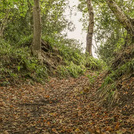 Glaisdale بيت للعطل